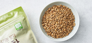 [청오] 유기농 발아 보리차 (알곡) 500g : 컬리N마트