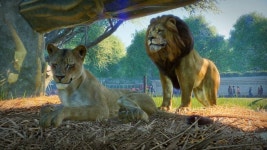 [스팀 계정] 플래닛 주: 프리미엄 에디션 2023 Planet Zoo: Premium Edition 2023 : 24시 게임배달소
