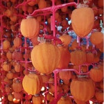 상주곶감 건시 반건시 실속형 곶감선물세트 : 상주으뜸농원곶감