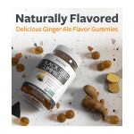 Healths Harmony 헬스하모니 블랙쿠민씨드 오일 500mg 구미 : 리손트레이딩