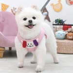 패리스독 강이지 리드줄 하네스 세트 산책줄 핑크 강아지하네스 : 바보집사