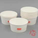 신화브로 롯데이라이프 무형광 천연펄프 분식 용기 10개입 천연펄프용기 파티용품 주방용품 : 오로라베이