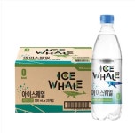 광동 아이스웨일 샤인머스켓 500ml 20병입 : 씨와이네트웍스