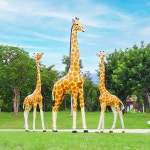 기린 조각상 동물원 테마파크 야외 대형 소품 조형물 인형 : 놀러와마트