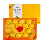 제철진미 제주 햇 황금향 선물세트 산지직송 : 제철진미