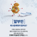 알부민 골드 맥스 벨기에산 120정 x3개 단백질 효능 함량 영양 : 네이처라운드 공식스토어