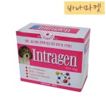 강아지 건강 인트라젠 알켐바이오 강아지 보조제 영양 보충제 : 십바나