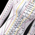 침구 경혈모형 한방 인체 혈자리 교육 한의학 경락 침술 52cm 남성용 : 웰컴어보드 쇼핑몰