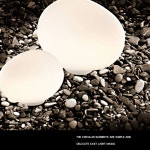 조약돌 A. 3색 조정 스위치, A. 국내 평평한 플러그, A. 소형 22CM x 12CM : uchiro