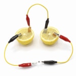 2셀 시계 과일전지 구리 아연전극 산화 환원 실험키트 교재 실험도구 만들기 수업초등 실험실 전기분해 : KuN Tools
