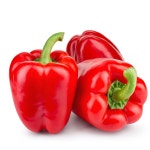 파프리카 : 호박별이네