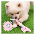 패리스독 캔디 로프 TPR토이 909495 : 어니스트 글로벌