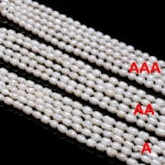 천연 담수 진주 AAA 등급 쌀 화이트 비즈 DIY 절묘한 목걸이 팔찌 귀걸이 쥬얼리 만들기 36cm 비즈 공예 재료 White  AAA : 키타야마마켓