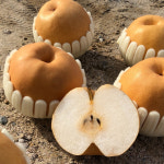 25년 나주 아산 햇 배 신고 원황 화산 배 2kg 7.5kg : 봉이네농장