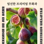 무화과 흑임자 호두 샌드위치 파이 무화과 호두파이 무화과 호두과자,100g : 건강의 집