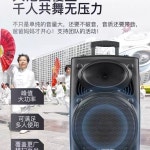 포함 우퍼 세트 공연용 메모리 야외용 행사용 마이크 : 보람종합유통