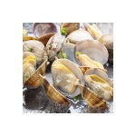 덕이네 해감 조개 왕 백상합 동죽 참바지락 활바지락 왕바지락 1kg 2개 이상 구매 칼국수200G 1개 지급 : 제이엘 COME FUNNY