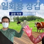 직검장갑 일회용장갑 방역 분만 농업 장갑 비닐장갑 120cm 스카프 장갑 박스당 50개 : 하이딜1