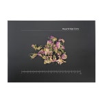 건조 다마스크 장미 국산 Damask Rose Rosa damascena 100g : 주식회사 바이어브릿지