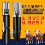 전기 소 발굽 털 제거기 전기면도기 눈썹정리기 코털정리기 빠른 양털 제거 블랙 유선형 : 클로이64