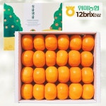 설레원 9월22일부터 설레원x위미농협 싱귤생귤 제주 하우스 감귤 1.5kg (17~36과/평균12brix) : 잇템초이