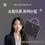 쇼핑으로 돈버는 방법 노하우, 리셀테크, 앱테크, 구매대행, 쇼핑몰 창업, 상품권 테크 노하우 CD : 두마리농산