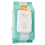 포인트앤 딥클린 올인원 클렌징 티슈 약산성 80매 : 네오포워드