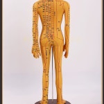침술 한의원 마네킹 인체모형 실습 경락 혈자 A. 업그레이드 버전 52CM 남성 구리 몰드 : 도쿄파파정직몰