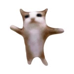 애착 인형 우는 밈 키링 인스타 해피캣 고양이 봉제 쿠션 : 리온즈샵