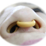 [바이오슬립센터]코골이 코막힘 입벌림 방지 국산 비염예방 비강확장 : 코골이 센터