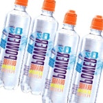 500mlx24펫 농심 스포츠음료 이온음료 파워오투 오렌지레몬 : 이가팸3