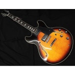 일렉기타 입문 일렉트릭 전자 사이어 래리 칼턴 H7 VS 랠리 세미아코 335 타입 기타 선버스트 : 직구나라9호점