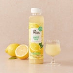 5K프라이스 레몬 그대로 짜낸 레몬주스 450ml 846001 : 몰어니스트