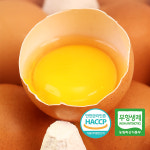 [자연계] 무항생제 난각1번 유정란 20구 : 엔조잇