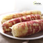 탱글탱글 홍찰 냉동 삶은 찰옥수수 36개(12~14cm내외) 탱글탱글 홍찰 냉동 삶은 찰옥수수 24개(18~20cm내외) : 씨유니마켓