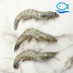 냉동 흰다리새우 30미 500g 바나메이 해물탕 새우찜 : 바다더해