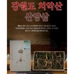 강원도 치악산 산양삼 5뿌리/10뿌리 상등품 고급포장/명절선물/원기회복 : tentenplus