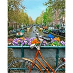 핀투 조각 퍼즐 500조각 성인용 자전거 꽃 운하 암스테르담 네덜란드 아름다운 플라스틱 가정 장식 제로 먼지 쉬운 보관 H1438 : 부자고래9호