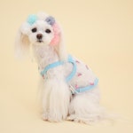 [도그포즈]쥬시톡톡 시스루 나시(블루) 강아지 고양이 : 차차펫펫