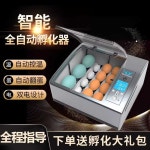 달걀 부화기 계란 꿩 병아리 회전 소형 조류 재료 알 6개 단일 배터리(LCD 화면)+내장 조명) : 팀폴