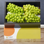 [참마루] 고당도 샤인머스켓 선물세트 3kg(3~4송이) : happyfood