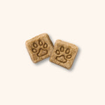 리틀포우 리얼 오븐베이크 프로틴업 에어드라이 강아지사료 치킨 1.2kg : 제이디씨펫