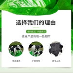 대형 젖소 모형 야외 장식 체험 조형물 젖짜기 조각상 : 산업용업소용마켓