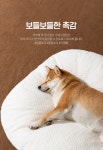 PET 강아지 고양이 사계절 방석 쿠션 무중력 꿀잠방석 포근한 애견방석 애묘방석 실내 쿠션 : 쁘니상점