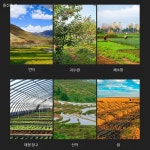 소형 가솔린 경운기 텃밭 관리기 잡초 제거 도랑 파기 주말농장용 쟁기질 농업 기계 4행정 휘발유 미니 트랙터 흙 갈이 바퀴+2충 : 이니티몰