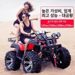 4륜오토바이 농업용 네발오토바이 바이크 농촌 화물 세트 버기카 전동 : 월천상사