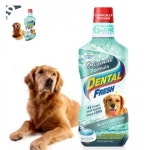 덴탈 반려견 후레쉬 오리지널 구강청결 물에섞는 치 : 워니13