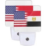 이집트 미국 국기 유화 야간등 세트 2개 인테리어 소품 : 해마지8