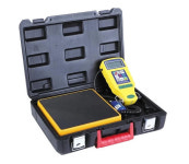 다성 정성 전자저울 RCS-N9030 : 설화상사