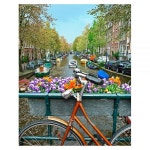 2 Pintoo 직소 퍼즐 500피스 성인용 - 자전거 꽃과 운하 암스테르담, 네덜란드 홈 데코용 아름다운 플라스틱 먼지 없는 쉬운 보관 [H1438]... 